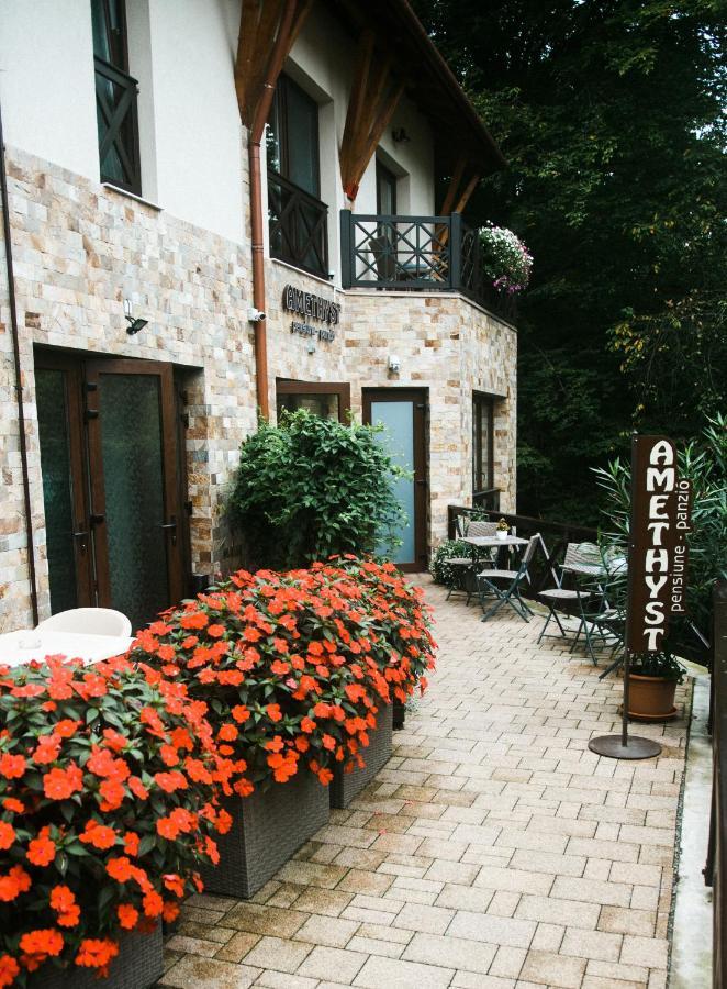 Amethyst Bed & Breakfast Sovata Bagian luar foto